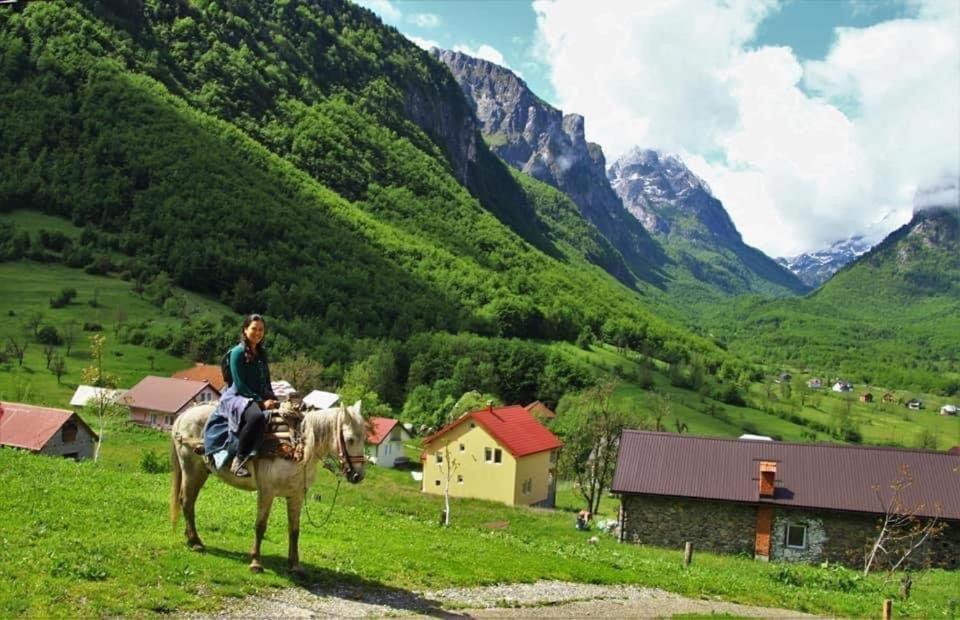 Dedushi Guesthouse &Wood Cabins-Camping Place Gusinje Eksteriør billede